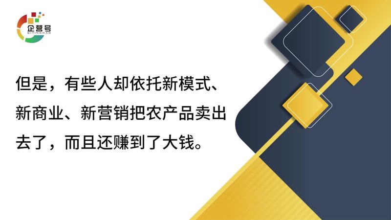 网站优化代理加盟推荐