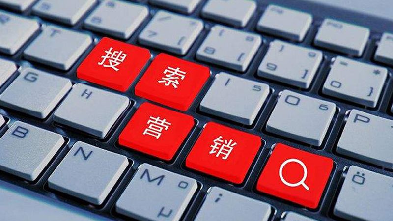 SEO优化标准案例分析：揭秘实战背后的关键要素